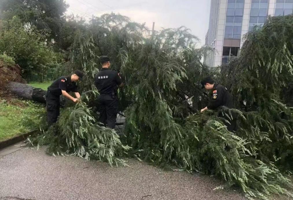 C:/Users/BA/Desktop/風(fēng)雨過后南京保安迅速行動(dòng)，恢復(fù)安“寧”面貌/1.jpg1
