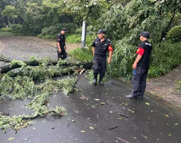 C:/Users/BA/Desktop/風(fēng)雨過后南京保安迅速行動(dòng)，恢復(fù)安“寧”面貌/7.jpg7
